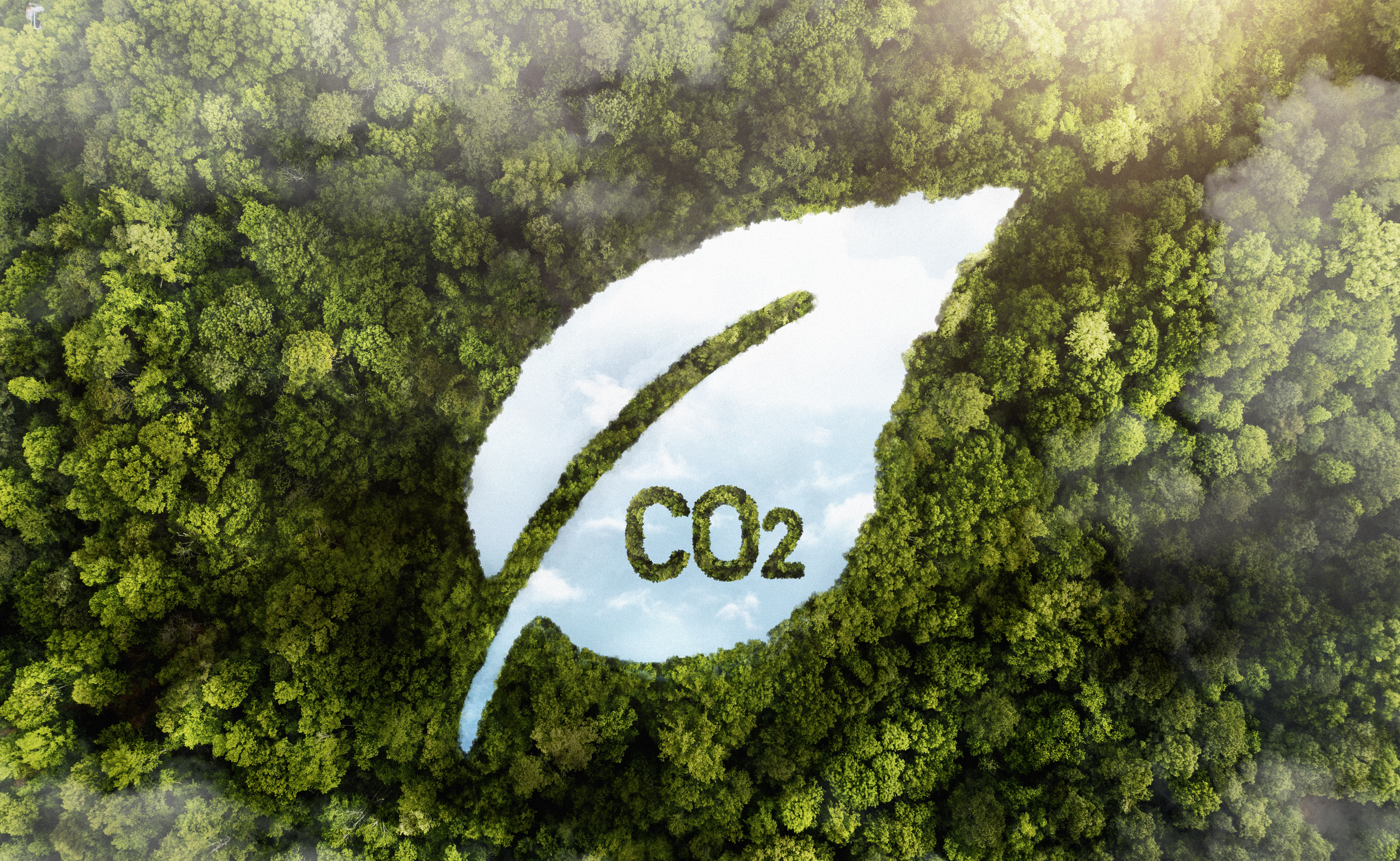 CO2 emissions